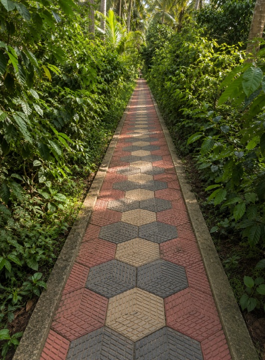 Evening Garden Walks