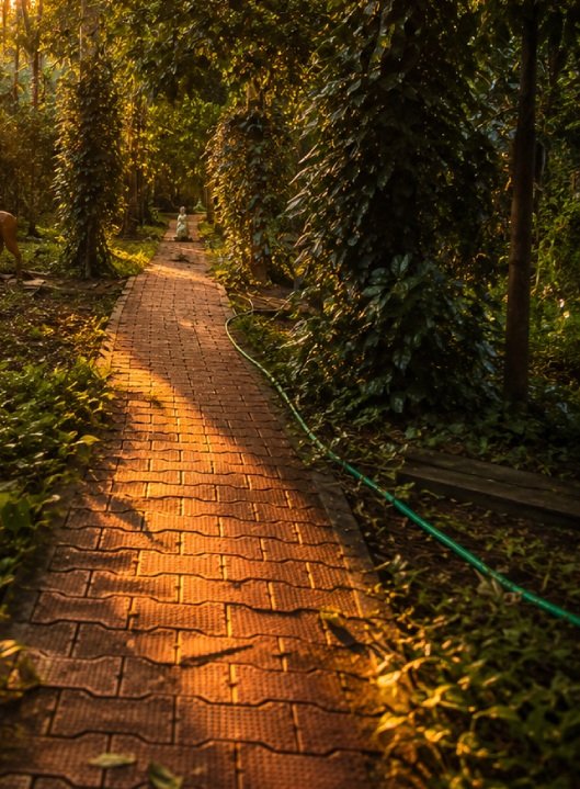 Garden pathway at sunset